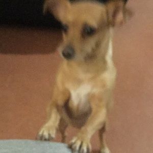 Meet your Posher, Cristina